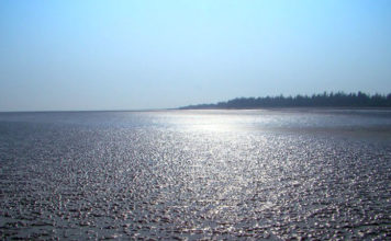 মান্দারবাড়িয়া সৈকত | খুলনা