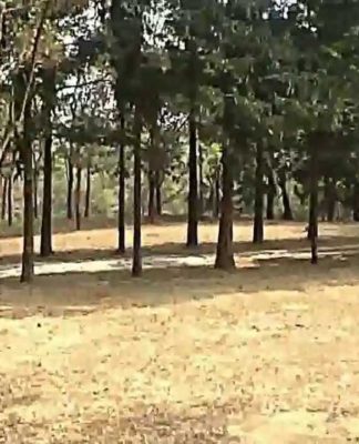 নীলাচল পাহাড় | কুমিল্লা