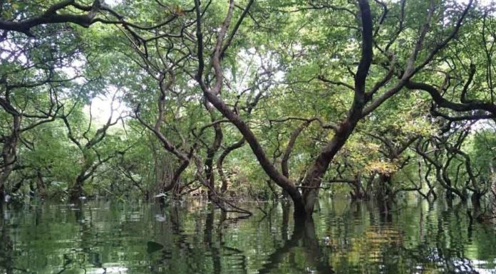 সাঙ্গু নদী | বান্দরবন