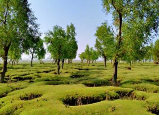 Guliakhali Sea Beach