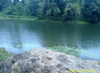 hatangkucho mataituari