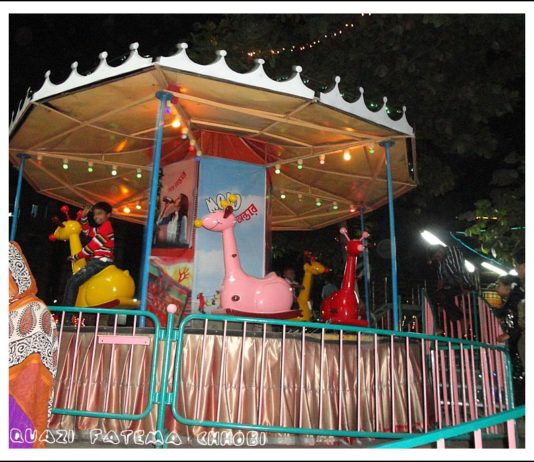 sayedabad wonderland park