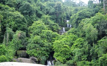 সংগ্রামপুঞ্জি জলপ্রপাত | সিলেট