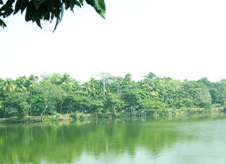 Dalal Bazar Khoa Sagor