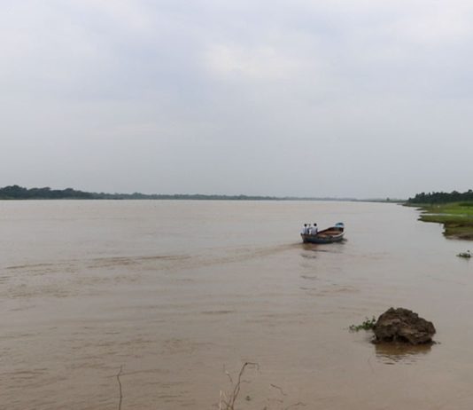 Madhumati River