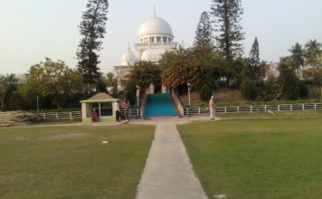 Nalta Sharif