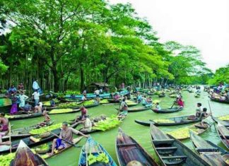 floating guava market