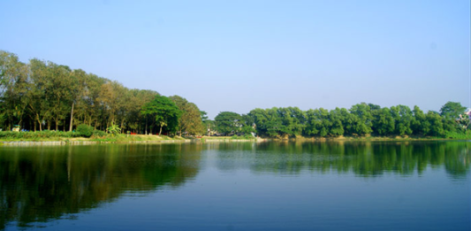 Senapati Dighi