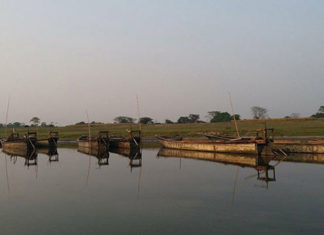 Moyna Dip