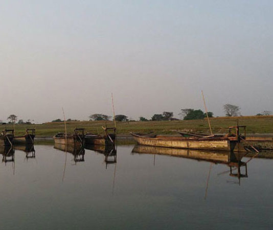 Moyna Dip