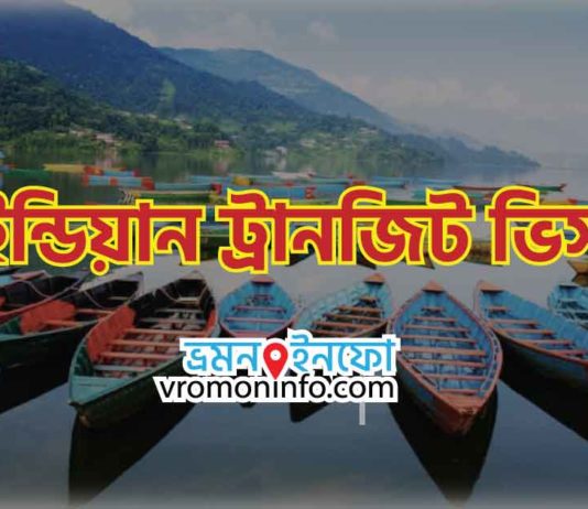 ট্রানজিট ভিসা